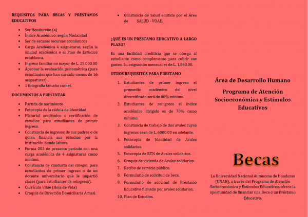 ResizedImage600424 Requisitos para becas 2