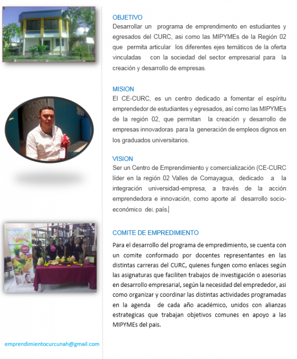 ResizedImage600727 mision