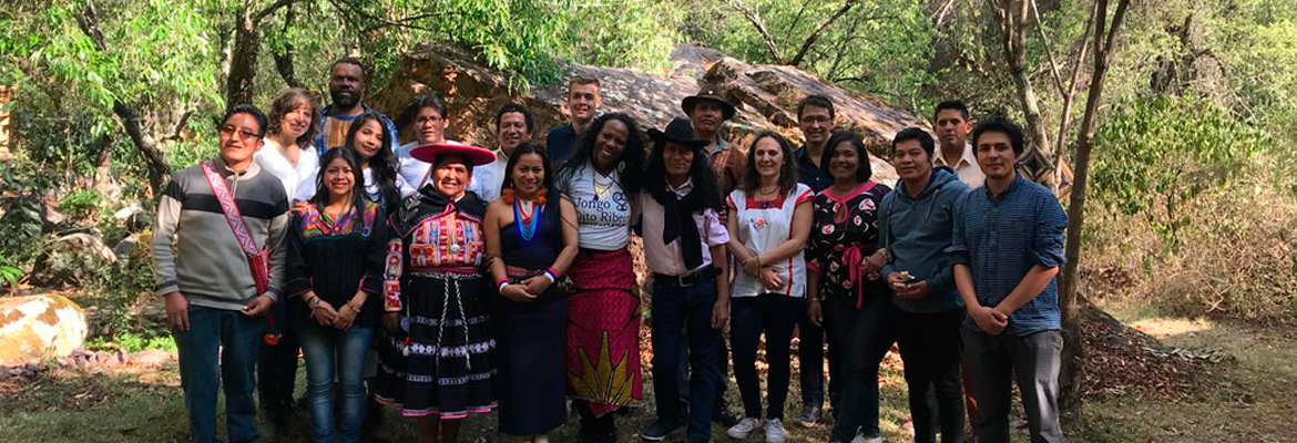 Licenciatura en Desarrollo Local