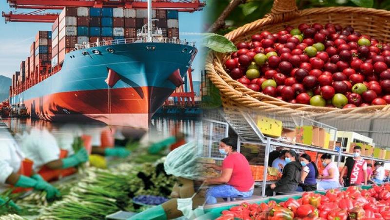 UNAH Campus Comayagua